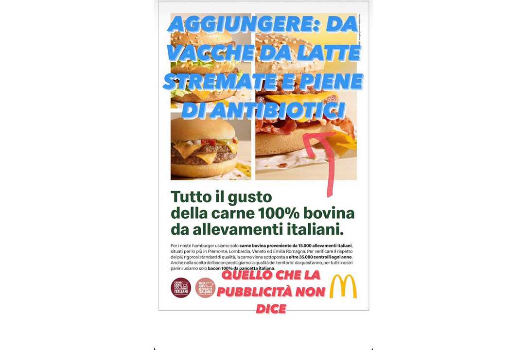 McDonald’s: Giulia Innocenzi in polemica con la nuova pubblicità