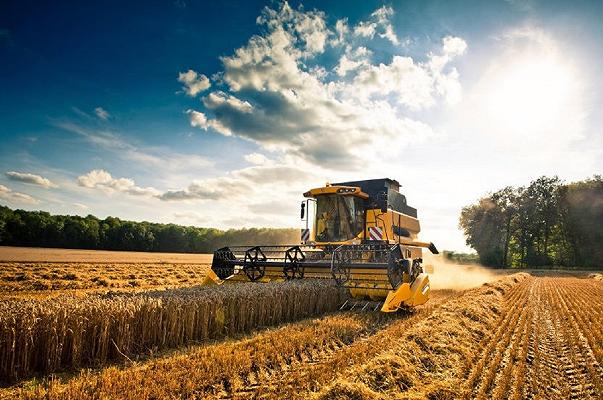 Agricoltura, Coldiretti: “Tagliamo il costo del lavoro a tutti i settori”