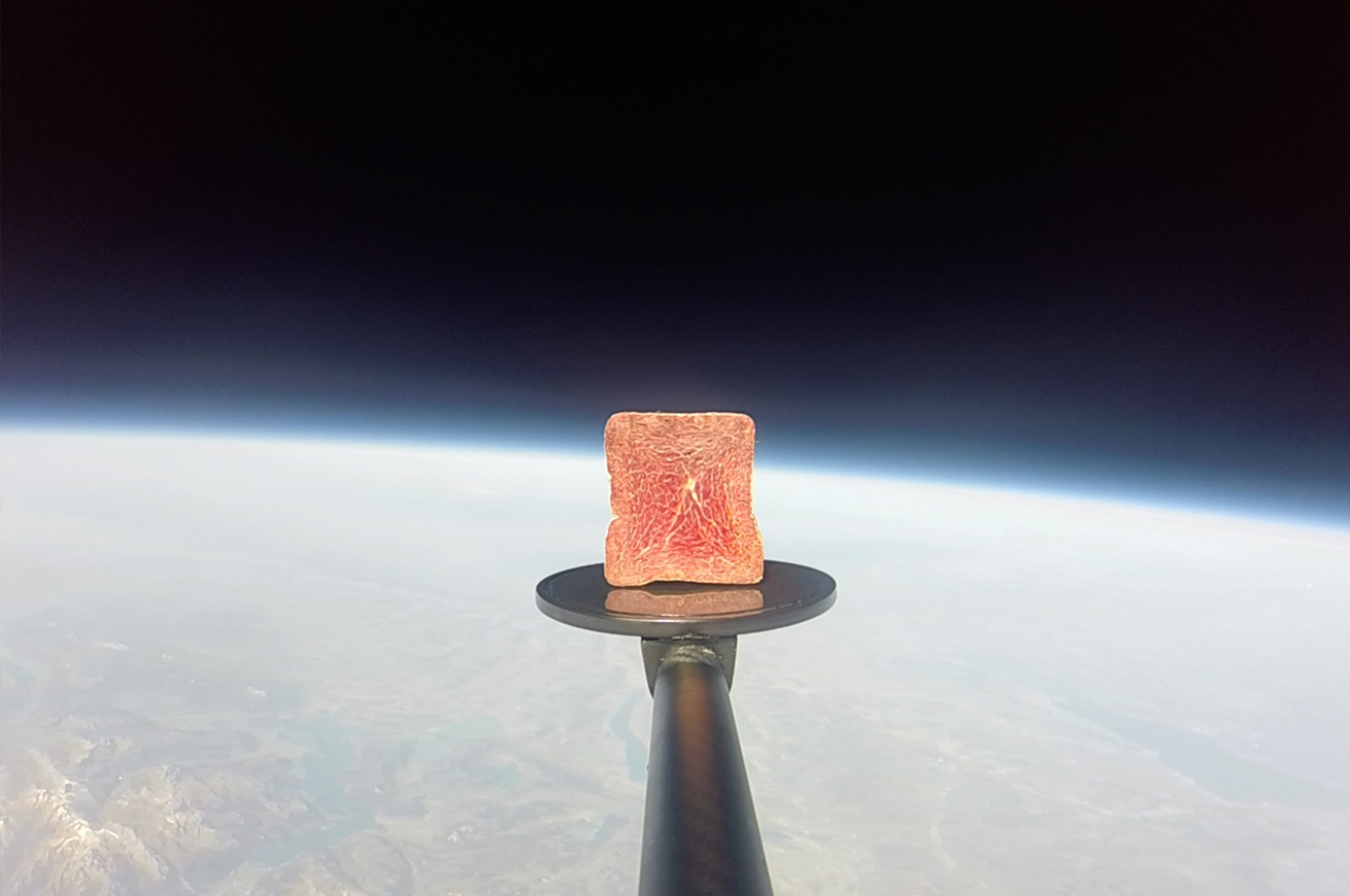 carne-nello-spazio-taglio-grigionese-40000-metri-stratosfera