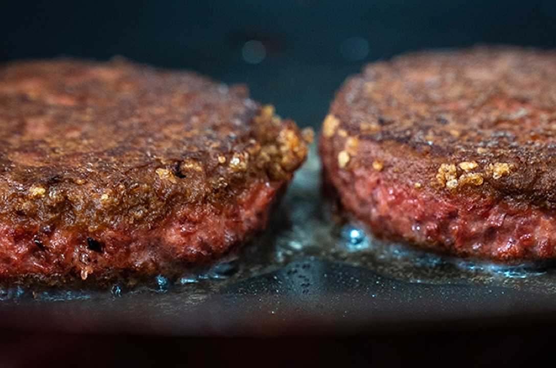 Carne vegetale, un’azienda crea l’hamburger al gusto di essere umano