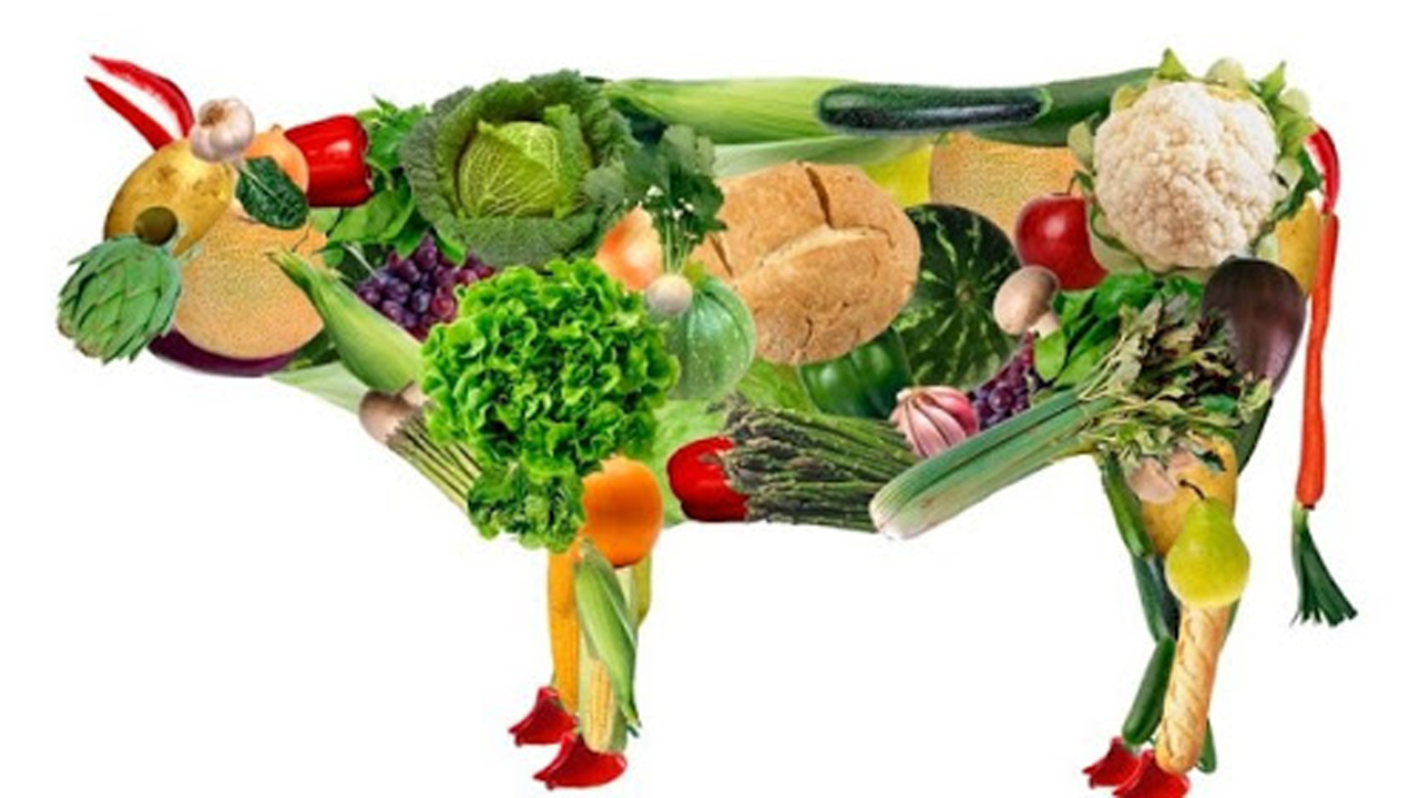 dieta-vegetariana-nuovo-studio-sostiene-risparmiare-16-anni-di-CO2
