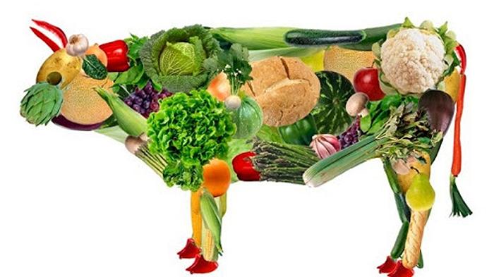 Dieta vegetariana: un nuovo studio sostiene che ci farebbe risparmiare 16 anni di CO2