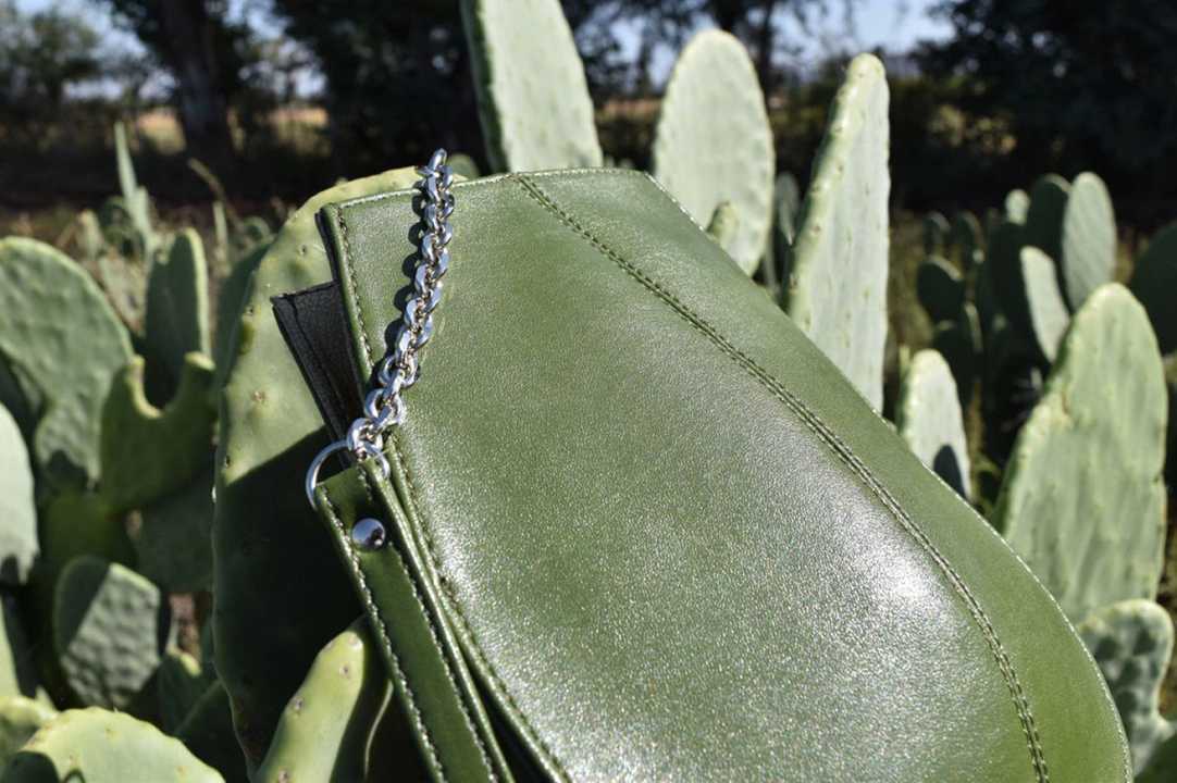 Pelle di cactus: l’alternativa vegana arriva dal Messico