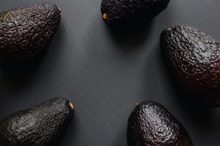 avocado hass