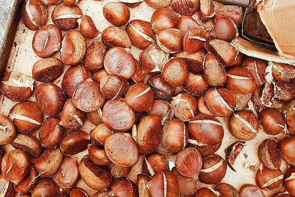 Castagne, il caldo anticipa la raccolta: quest’anno previsti 35 milioni di kg