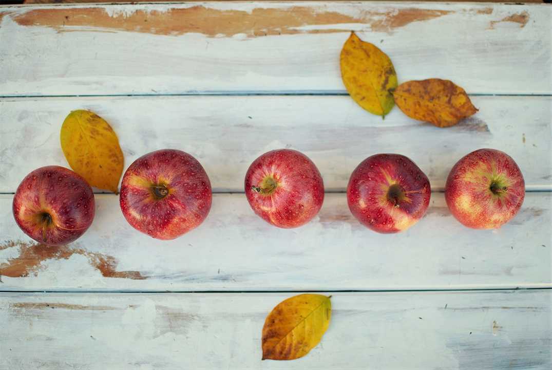 Novembre: frutta e verdura di stagione