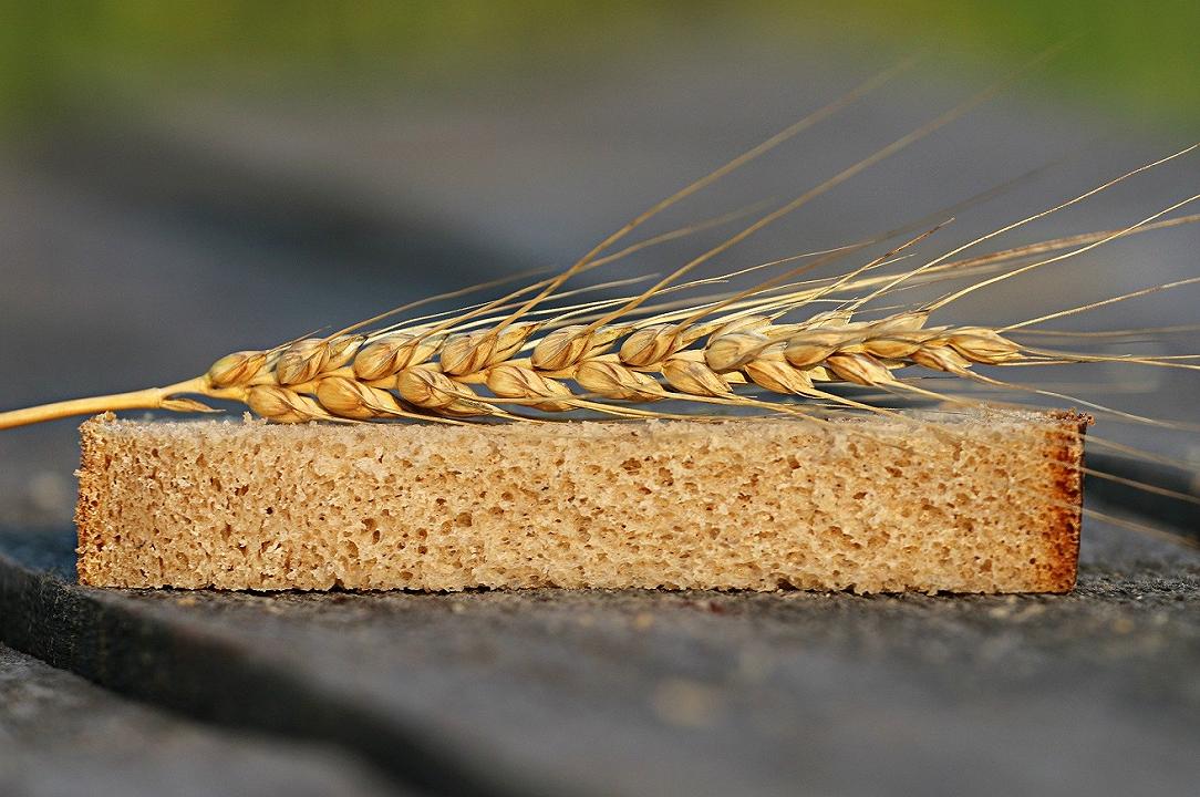 Perché sale il prezzo del grano (e dei suoi derivati)