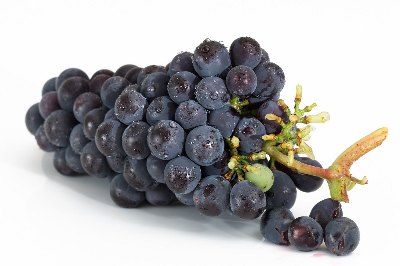 vino