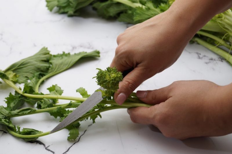 SEMI DI CIME DI RAPA 40 GG. GR. 500