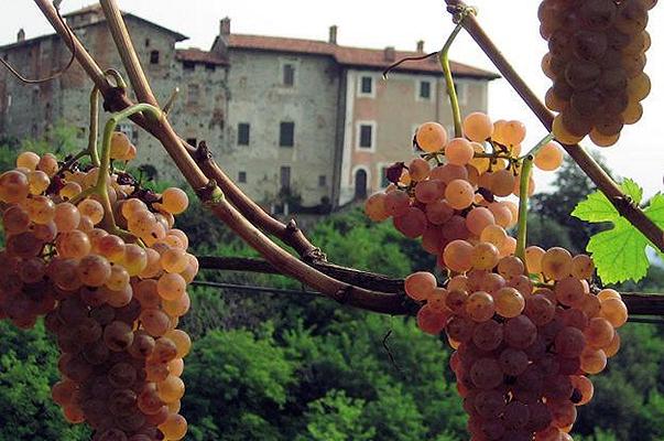 Distretti del cibo al via in Piemonte: ecco cosa sono