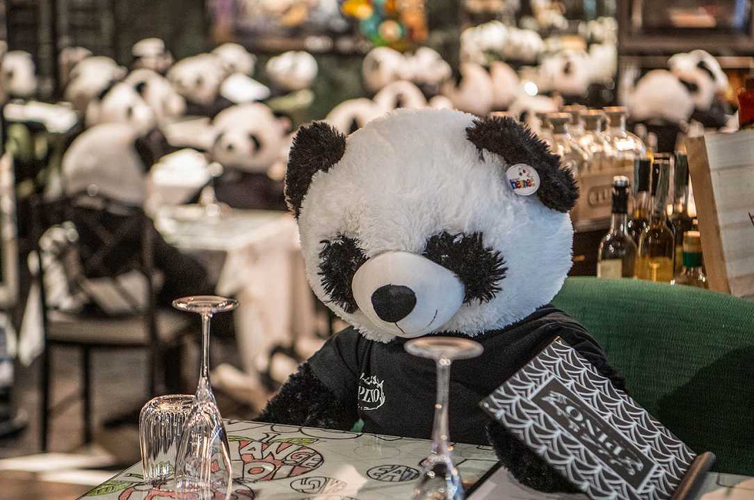 Germania: peluche di panda seduti al ristorante per protesta