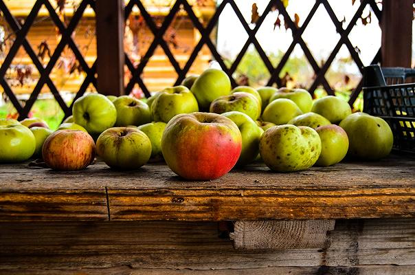 Mele: le 23 varietà italiane da riconoscere