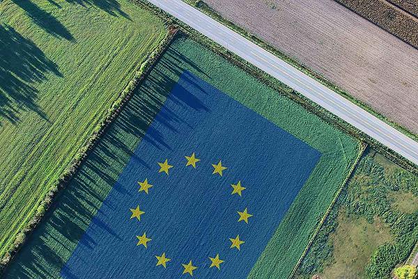 Agricoltura: lo stallo dell’UE, divisa tra green e greenwashed