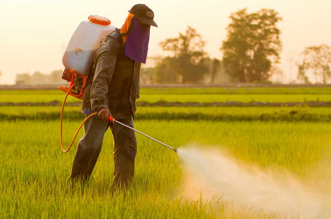 Agricoltura, marcia indietro sul glifosato: secondo uno studio è cancerogeno