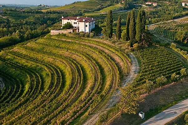 Vino: “Friuli” e “Friuli Venezia Giulia” diventano DOP