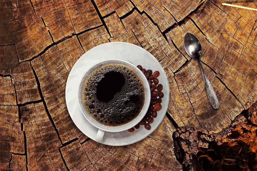 Caffè: nel 2020 il fatturato dei torrefattori italiani è quasi dimezzato