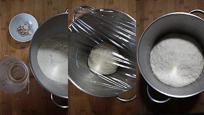 Sciogliete il lievito