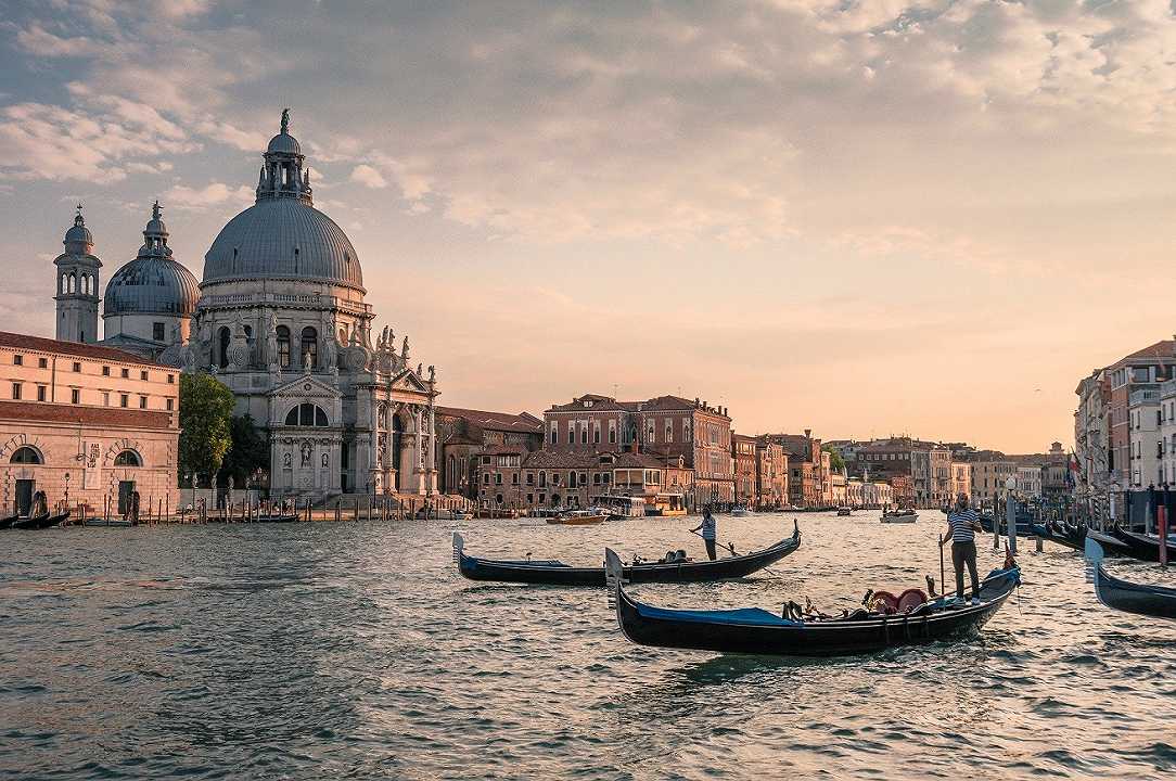 Venezia: migliaia di cefali invadono i canali