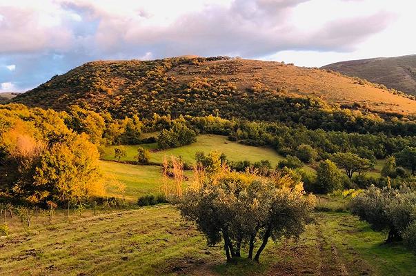 Campania: che fine farà il turismo gastronomico?