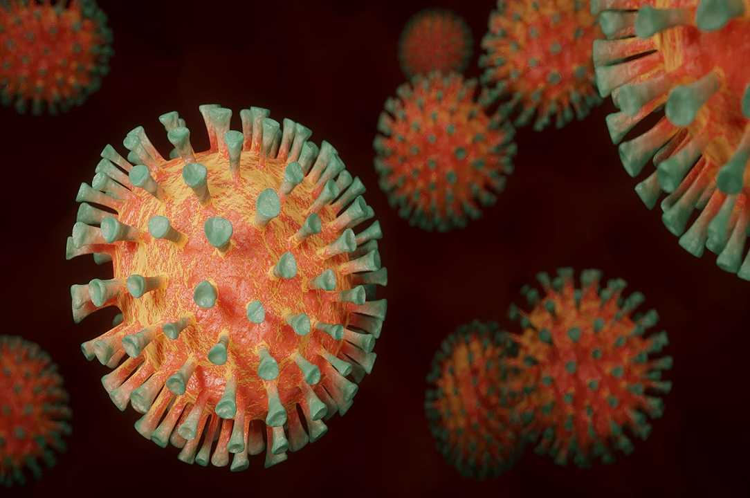 Regno Unito: famiglia distrutta dal Coronavirus dopo il pranzo di Natale