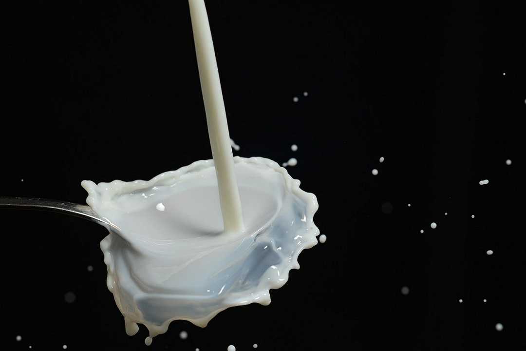 Proteine in laboratorio, start-up spagnola sta sviluppando il latte