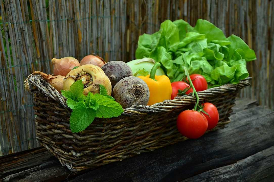 Food Delivery 2021: il trend è healthy, cresce il veg