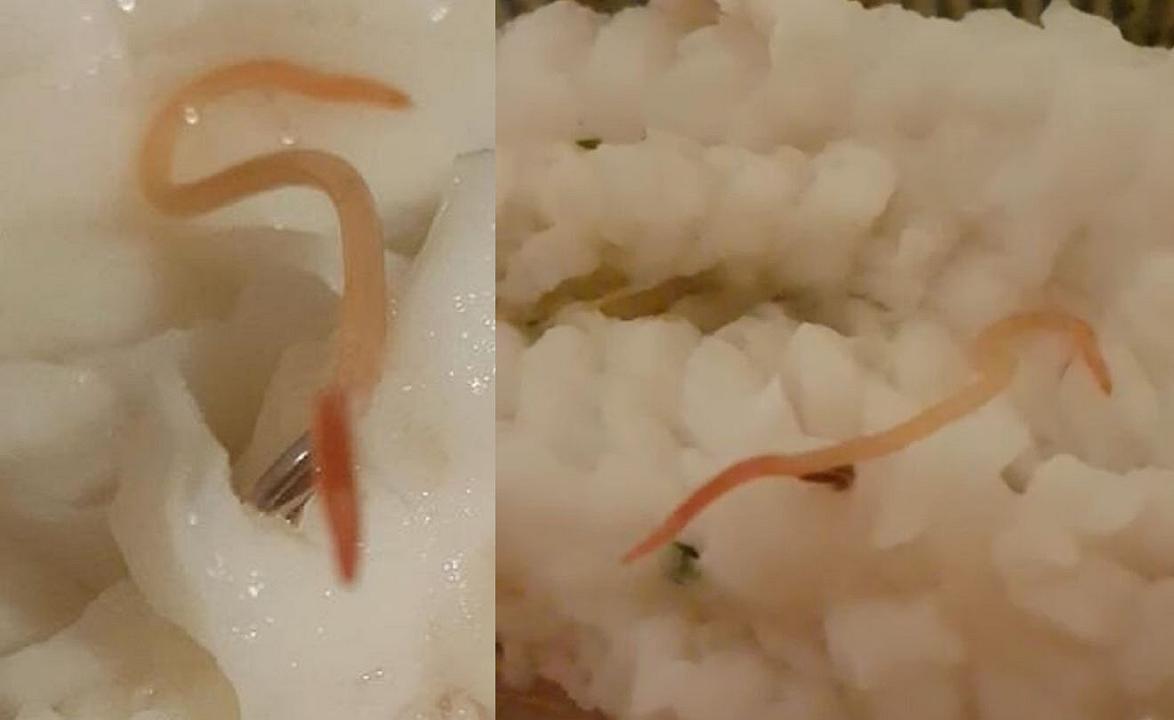 Cervignano, comprano pesce fresco e ci trovano vermi vivi: coppia in ospedale