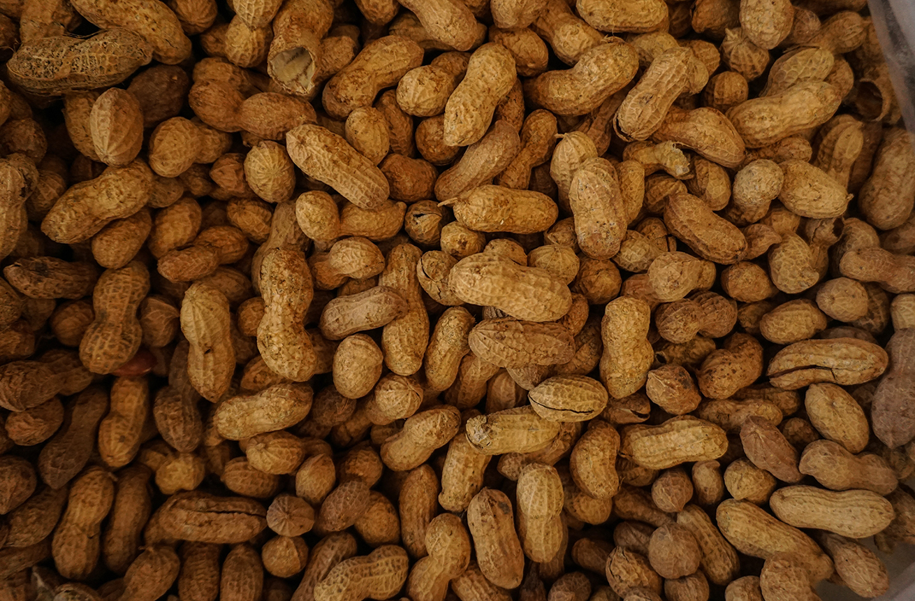 farina arachidi