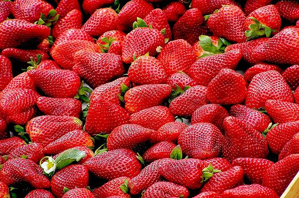 Fragole: aumento del 9% degli ettari coltivati rispetto al 2020