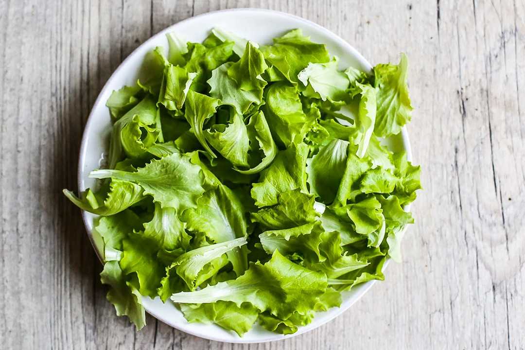 Bio non significa esente da batteri: uno studio sull’insalata mette in guardia i consumatori