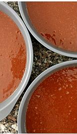 Cuocete in forno