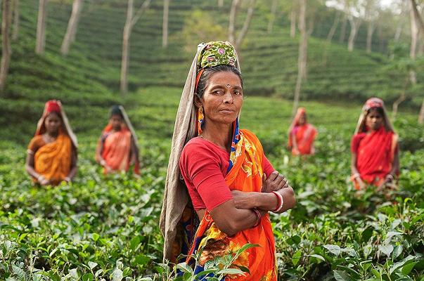 India, protesta degli agricoltori: fortificazioni belliche per proteggere Dehli