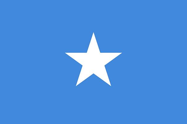 Somalia: autobomba in un ristorante, almeno venti morti