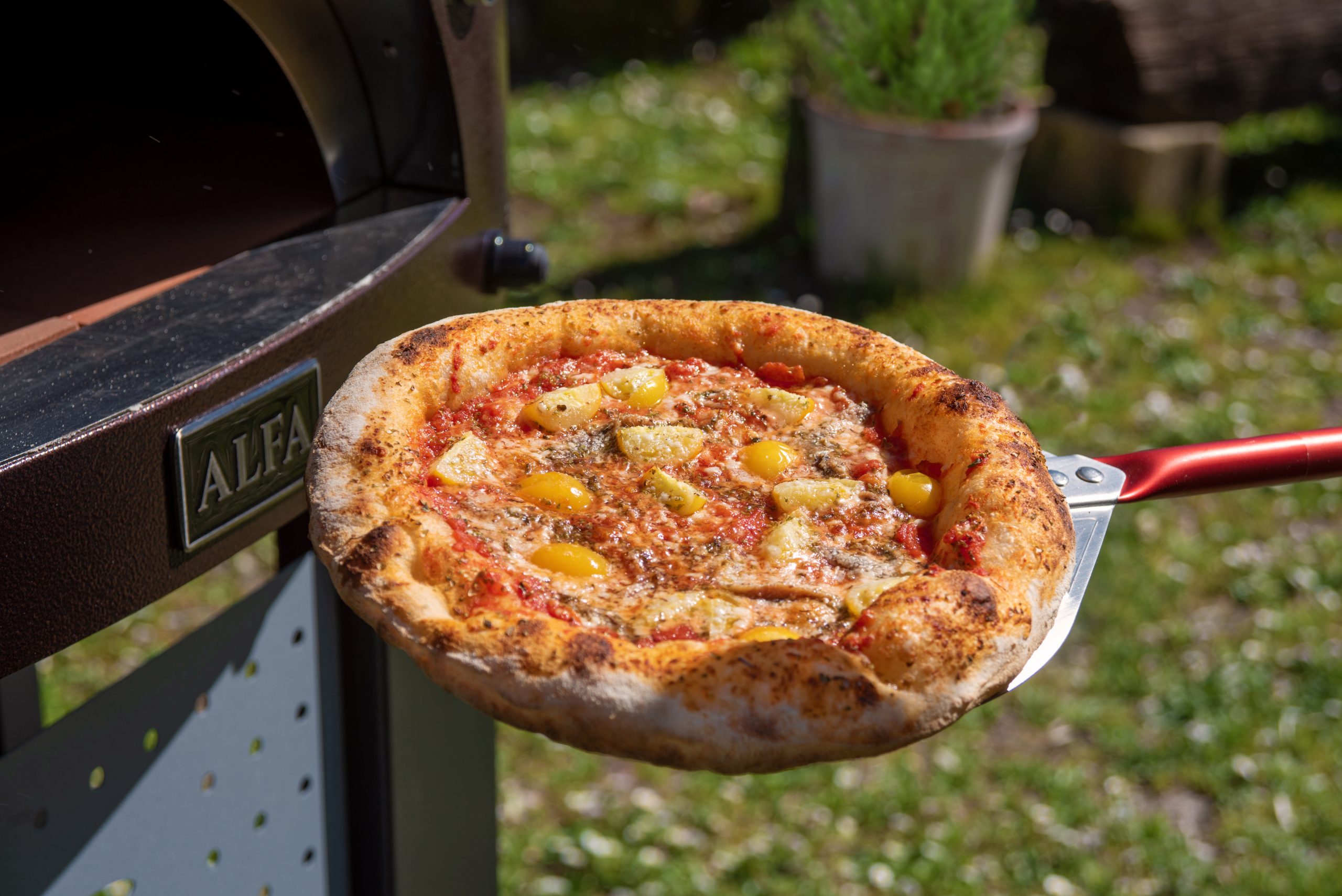 Pizza Gourmet - Alfa Forni-10-pizzarossa