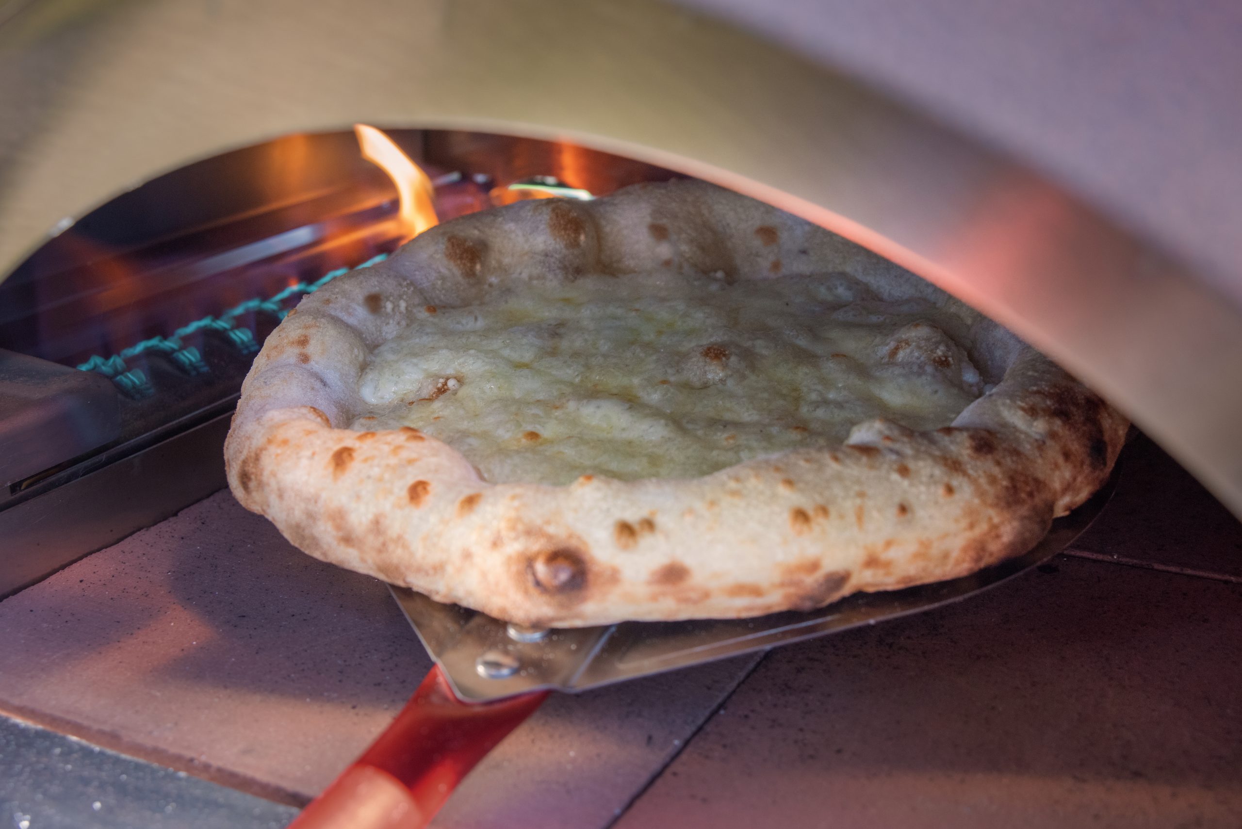 Pizza Gourmet - Alfa Forni-13-cotturapizza4f