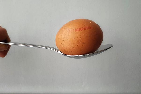 Come leggere l’etichetta delle uova: le galline allevate a terra sono un pregio?