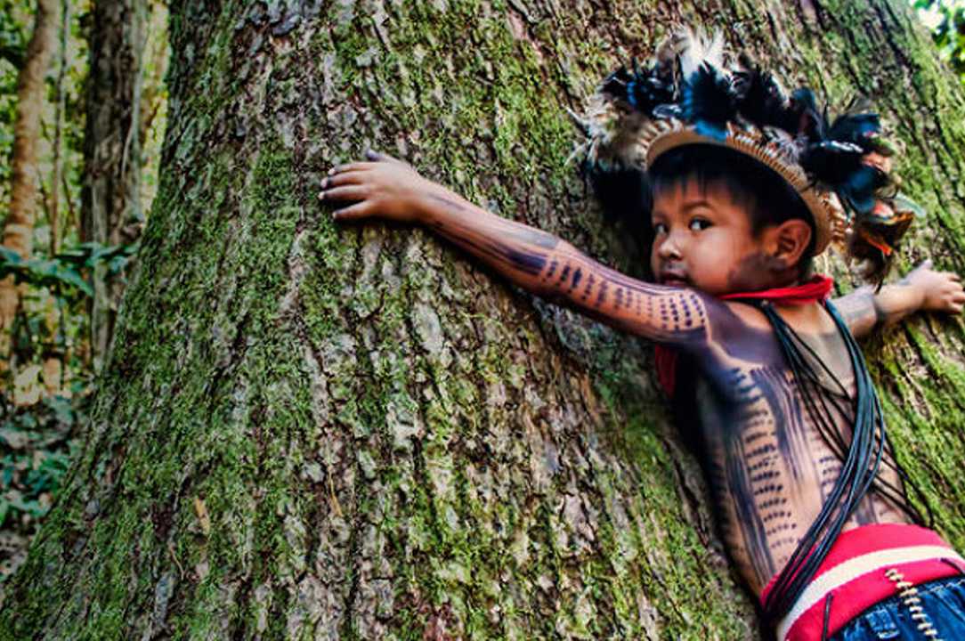 Amazzonia: indigeni denunciano i supermercati francesi per la deforestazione