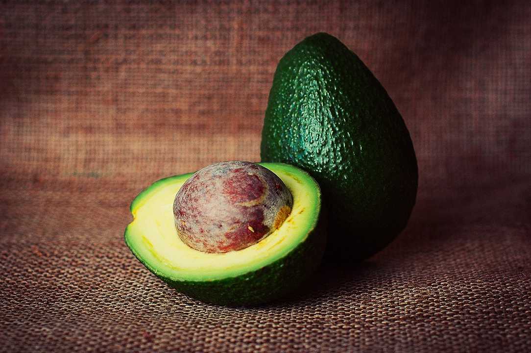Stati Uniti: la FDA boccia il trucco diventato virale per conservare gli avocado