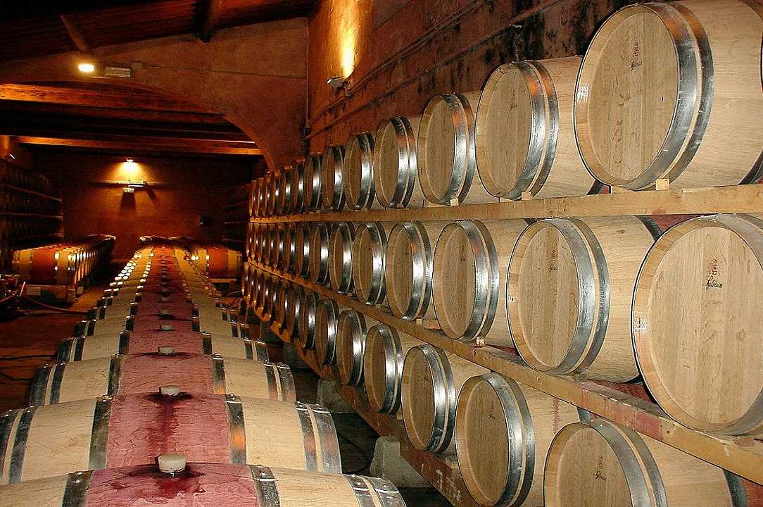 Vino: quello italiano domina l’export mondiale a volume