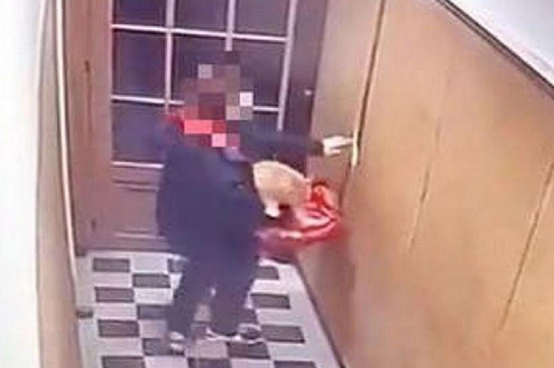 Just Eat: rider rapisce un gatto per usarlo nel ristorante contro i topi