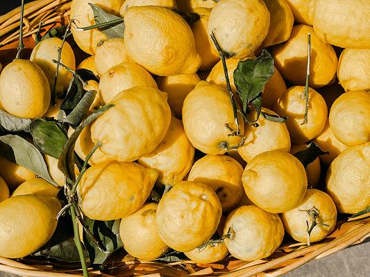 Limoni, sequenziato il genoma del Femminiello siracusano