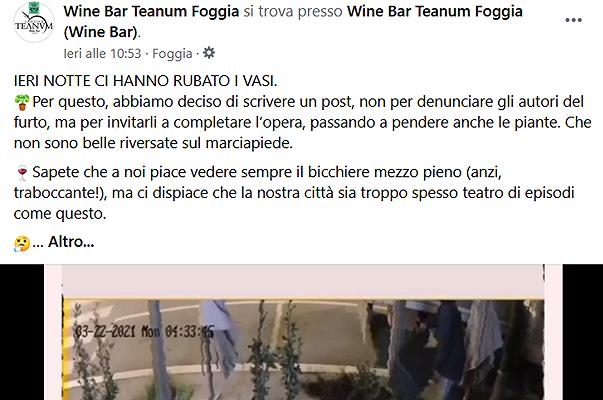 Winebar, proprietari chiedono ai ladri: “ci avete preso i vasi, rubateci anche le piante”