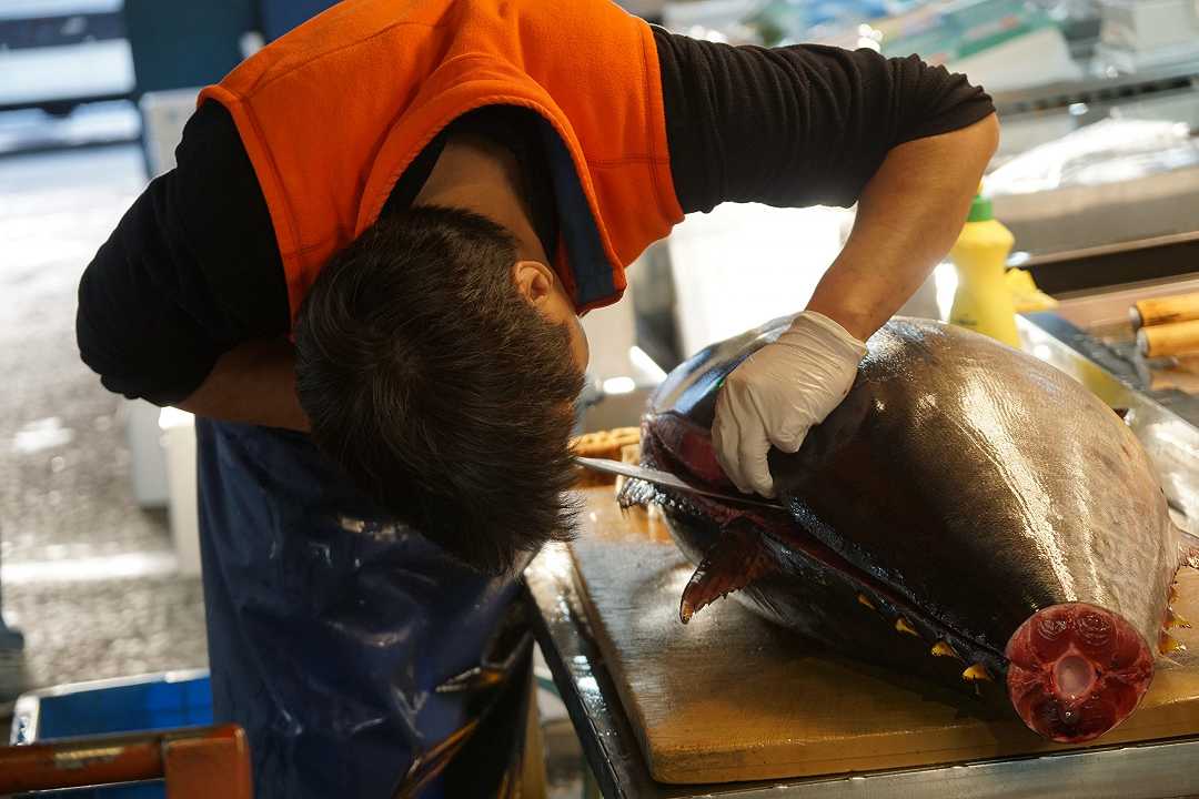 Fukushima avvelena il pesce con le acque contaminate? È più radioattiva una banana