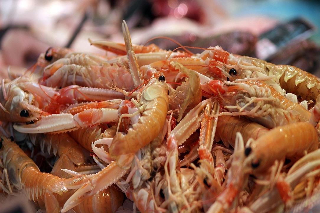 Pesca: 6 italiani su 7 non conoscono il calendario dei divieti di consumo