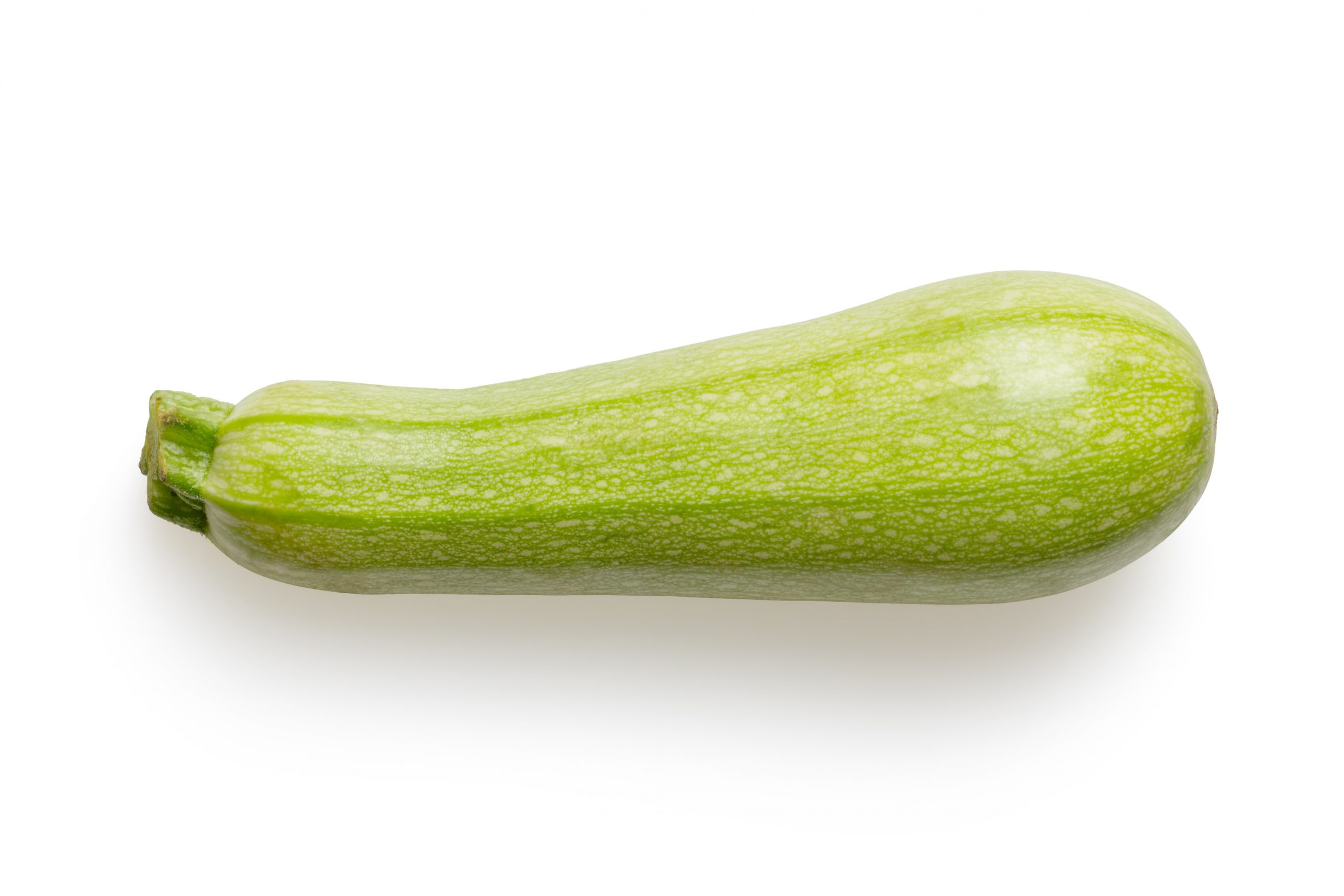 zucchina