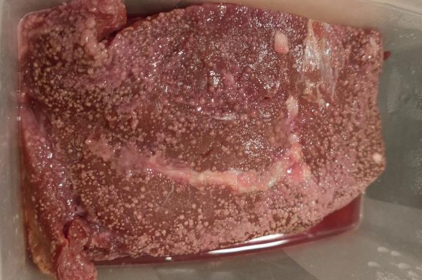 Carne marcia per “sballarsi”: il nuovo trend sul web