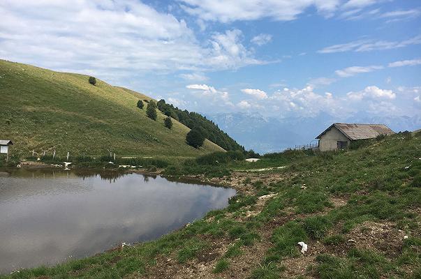 Imparare a fare i malgari: nasce la prima Scuola internazionale dei formaggi di montagna