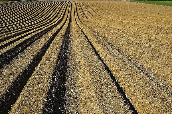 Agricoltura: fanghi tossici con metalli pesanti usati come fertilizzanti nel Nord Italia