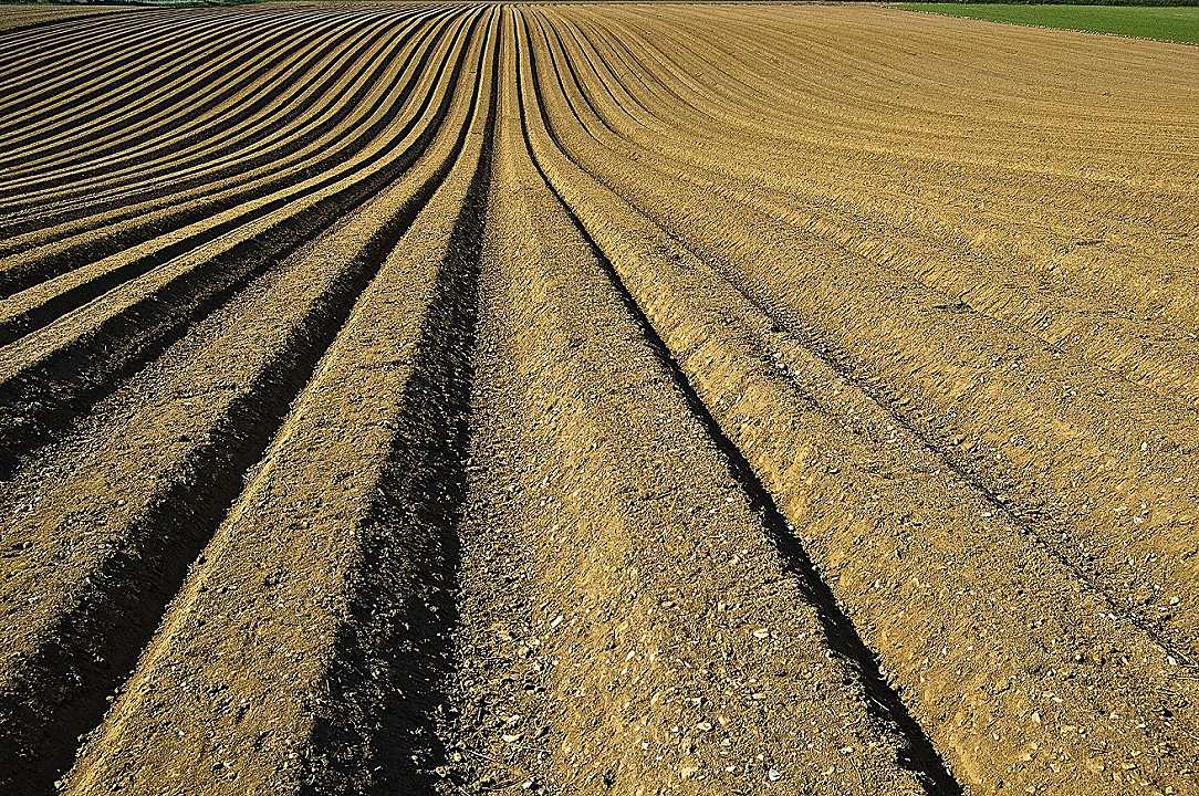 Agricoltura: fanghi tossici con metalli pesanti usati come fertilizzanti nel Nord Italia