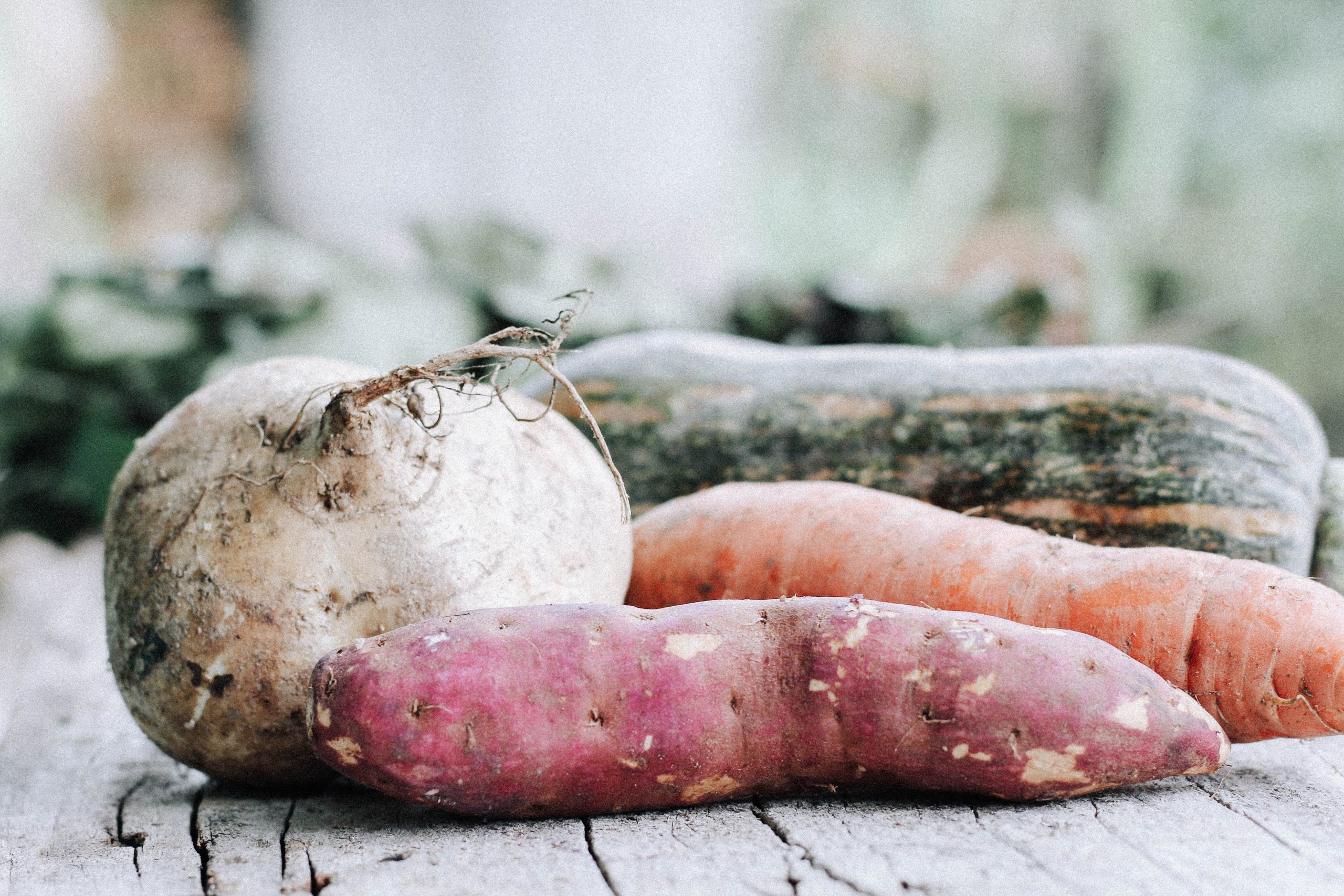 tuberi radici